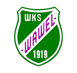 Wawel. Wojskowy Klub Sportowy, Kraków godziny otwarcia