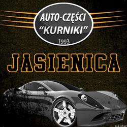 Auto Części Kurniki Auto-Van s.c., Jasienica godziny otwarcia
