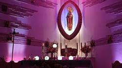 Parafia rzymskokatolicka Matki Bożej Różańcowej, Kraków godziny otwarcia