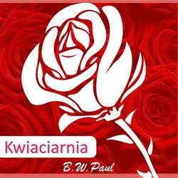 Róża. Kwiaciarnia. Paul W., Jarocin godziny otwarcia