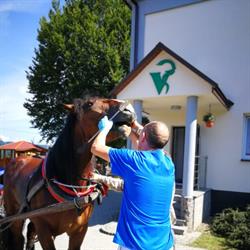 Lecznica Dla Zwierząt, Jordanów godziny otwarcia