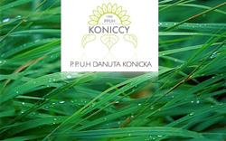 Konicka Danuta. Kwiaciarnia, Połczyn-Zdrój godziny otwarcia