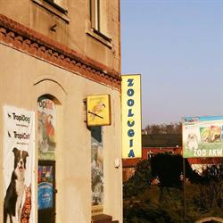 Zoo Akwarystyka Wodny Knurek, Knurów godziny otwarcia