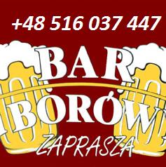 Borówy. Bar. Żaneta B., Zgierz godziny otwarcia