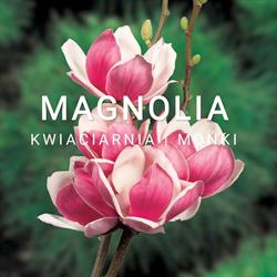 Magnolia. Kwiaciarnia. Omielan Ł., Mońki godziny otwarcia