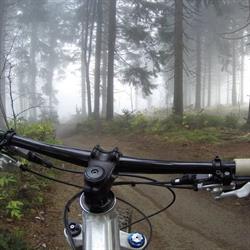 Prodom. PPHU Serwis Rowerowy, Łódź godziny otwarcia