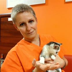 Marczyńska Dagmara. Przychodnia Weterynaryjna, Grodzisk Mazowiecki godziny otwarcia