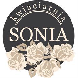 Buczek-Sonia. Kwiaciarnia. Jankowska Z., Mielec godziny otwarcia