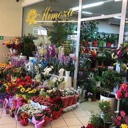 Mimoza. Kwiaciarnia. Janikowska e., Krzeszowice godziny otwarcia