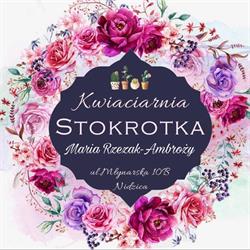 Stokrotka. Kwiaciarnia. Rzezak D., Nidzica godziny otwarcia