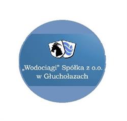 Wodociągi. Sp. Z O.o., Głuchołazy godziny otwarcia