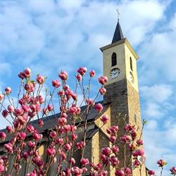 Parafia Rzymskokatolicka Podwyższenia Krzyża Świętego, Strzelin godziny otwarcia