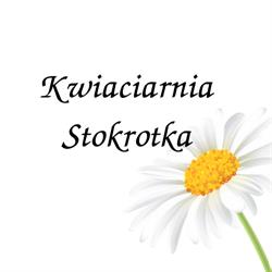 Stokrotka. Kwiaciarnia. Sieiński P., Kostrzyn godziny otwarcia