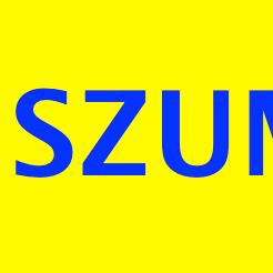 Auto-Handel PHU Szumowski Jerzy, Bielsk godziny otwarcia