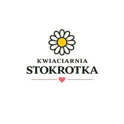 Kwiaciarnia Stokrotka, Płock godziny otwarcia
