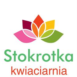 Kwiaciarnia "stokrotka", Szczytno godziny otwarcia