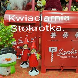 Stokrotka. Kwiaciarnia. Małych e., Zbąszyń godziny otwarcia