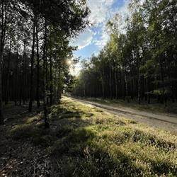 Nadleśnictwo Wolsztyn, godziny otwarcia
