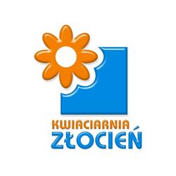 Złocień. Kwiaciarnia. Szeszycka L., Krotoszyn godziny otwarcia