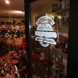 Jarzyńska Anna. Kwiaciarnia, Strumień godziny otwarcia