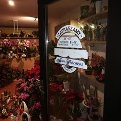 Jarzyńska Anna. Kwiaciarnia, Strumień godziny otwarcia