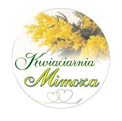 Mimoza. Kwiaciarnia. Golmert E., Międzychód godziny otwarcia