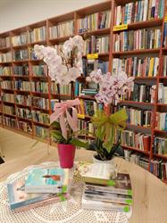 Gminna Biblioteka Publiczna w Szczutowie, Szczutowo godziny otwarcia
