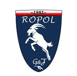 Ropol. S.j. Przedsiębiorstwo Obrotu Produktami Naftowymi. Gąska G.j., Mikołów godziny otwarcia