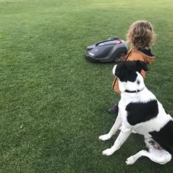 Paralusz. S.j. Autoryzowany dealer firmy Husqvarna. Sprzedaż i serwis urządzeń ogrodniczych, Bolesławiec godziny otwarcia