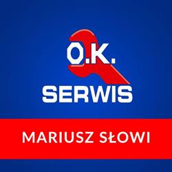 Słowi Andrzej. Wulkanizacja, Luzino godziny otwarcia