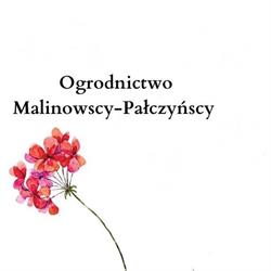 Malinowscy-Pałczyńscy. Ogrodnictwo, Jawor godziny otwarcia