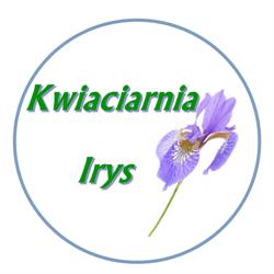 Irys. Kwiaciarnia, Jasło godziny otwarcia
