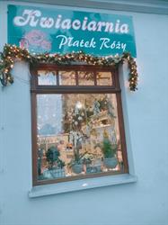 Płatek Róży. Kwiaciarnia, Piotrków Trybunalski godziny otwarcia
