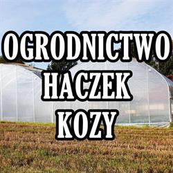 Haczek S.m. Ogrodnictwo, Kozy godziny otwarcia
