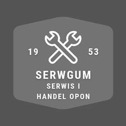 Serwgum Sc. Fronia J., Szmidt m., Świętochłowice godziny otwarcia