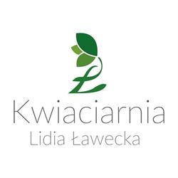 Wizja Sc. Kwiaciarnia, Przemęt godziny otwarcia