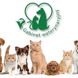 Lewicka Mirosława, lek. wet. Usługi weterynaryjne, Mikołów godziny otwarcia