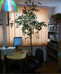 Biblioteka Publiczna Gminna, Kołaczyce godziny otwarcia