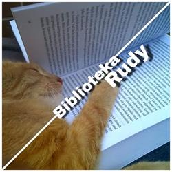 Biblioteka Publiczna, Rudy godziny otwarcia
