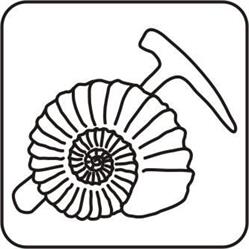 Muzeum Geologiczne Uniwersytetu Wrocławskiego, godziny otwarcia