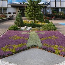 Urząd Miasta Zakopane, godziny otwarcia