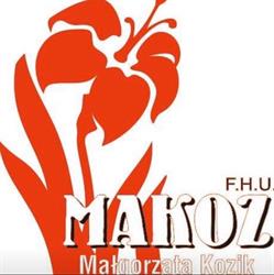 Makoz. PHU. Kozik M., Chojna godziny otwarcia
