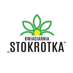 Stokrotka. Kwiaciarnia. Basta B., Otmuchów godziny otwarcia