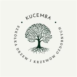 Kucemba Z. Zakład Szycia Kołder i Czyszczenia Pierza, Lusowo godziny otwarcia