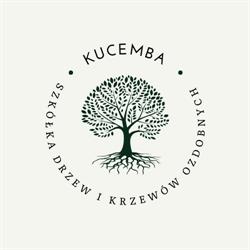 Kucemba Z. Zakład Szycia Kołder i Czyszczenia Pierza, Lusowo godziny otwarcia