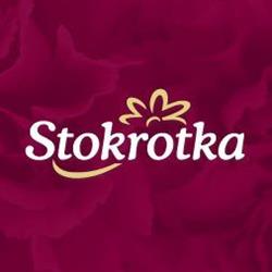 Stokrotka. Kwiaciarnia. Pydynkowski A., Działdowo godziny otwarcia