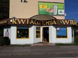 Wrzos. Kwiaciarnia. Osiński M., Bydgoszcz godziny otwarcia