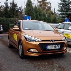 Szkoła Kierowców Andrzej Rybak, Pabianice godziny otwarcia