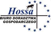 Hossa. Biuro Doradztwa Gospodarczego, Katowice godziny otwarcia