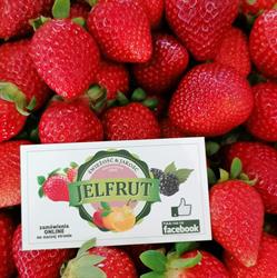 Jelfrut. Hurtownia Warzyw i Owoców, Jelenia Góra godziny otwarcia